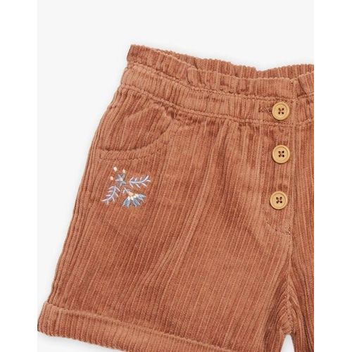 Short Brun En Velours (Sergent Major)