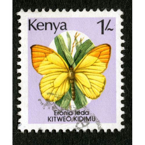 Timbre Oblitéré Kenya, Eronia Leda, Kitweo Kidimu, 1