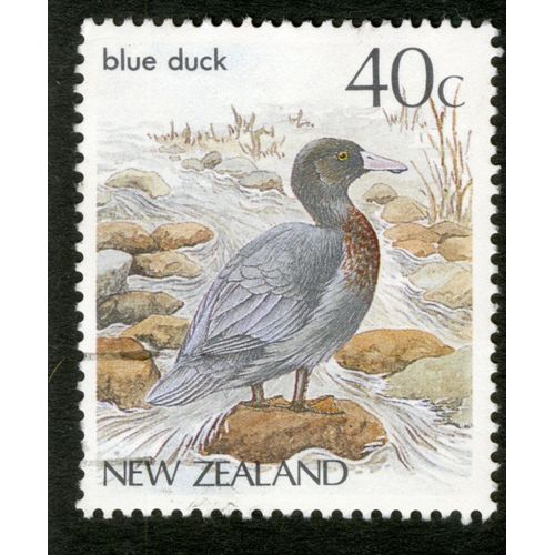 Timbre Oblitéré New Zealand, Blue Duck, 40 C