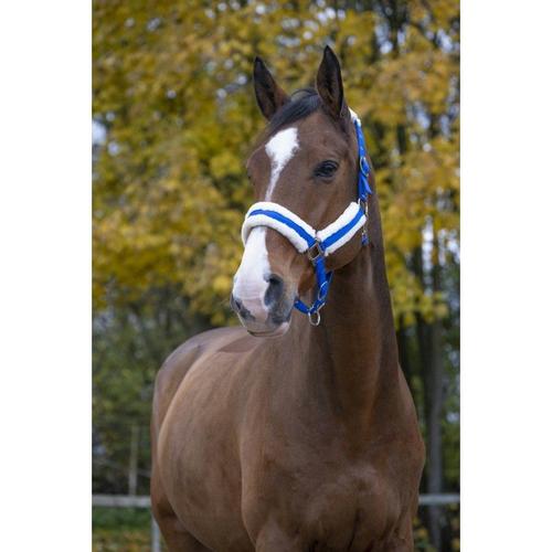 Licol Norton "Confort" - Couleur : Bleu Vif, Bouclerie Coloris Argenté, Taille : Cheval? Équitation
