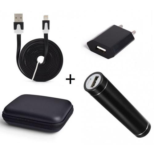 Pack Pour Ipad Mini 4 (Cable Chargeur Noodle Lightning + Pochette + Batterie + Prise Secteur) Apple - Noir