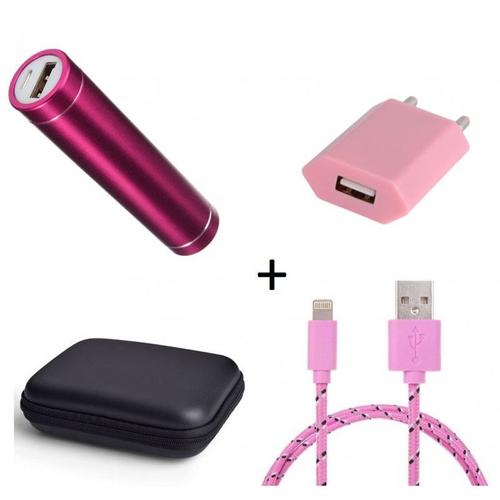 Pack Pour Ipad Mini 4 (Cable Chargeur Lightning Tresse 3m + Pochette + Batterie + Prise Secteur) Apple - Rose Pale