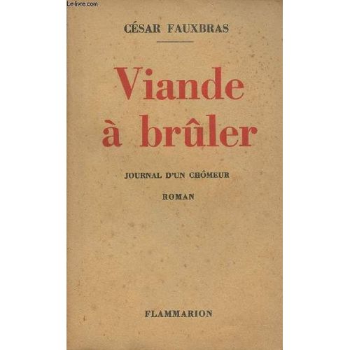 Viande À Brûler - Journal D Un Chômeur - Roman