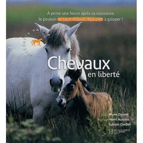 Chevaux En Liberté