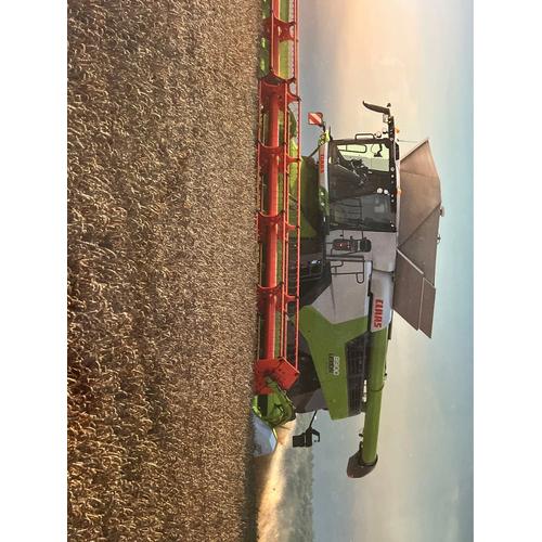 Claas Lexion 8900 Tt Moissonneuse Batteuse Sur Chenilles