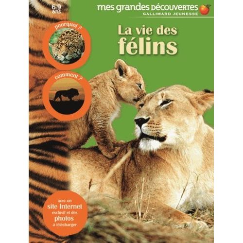 La Vie Des Félins