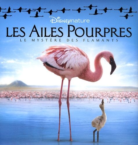 Les Ailes Pourpres - Le Mystères Des Flamants