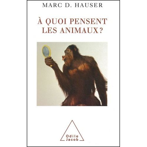 A Quoi Pensent Les Animaux ?