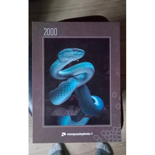 Puzzle 2000 Pièces Serpent