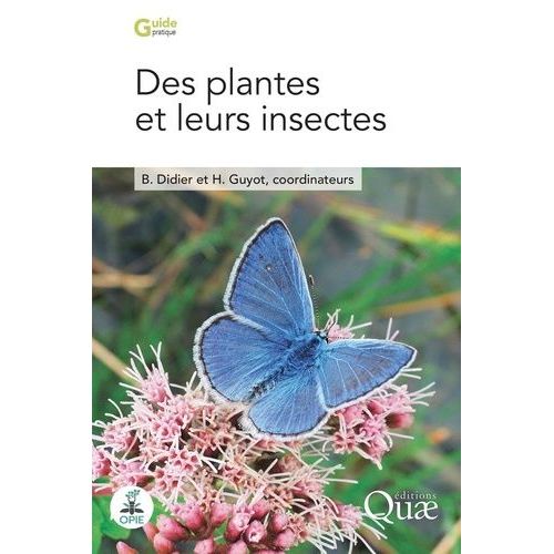Des Plantes Et Leurs Insectes