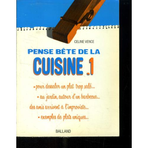 Pense Bête De La Cuisine - Tome I : Pour Déssaler Un Plat Trop Salé, Au Jardin Autour D Un Barbecue, Des Amis Qui Arrivent À L Improviste, Exemples De Plats Uniques