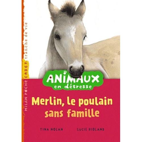 Animaux En Détresse Tome 3 - Merlin, Le Poulain Sans Famille