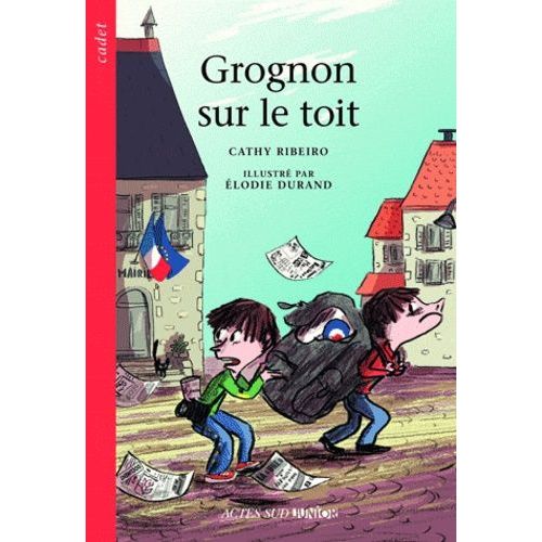 Grognon Sur Le Toit