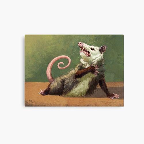 Canevas imprimer Actrice amateur d'opossum Impression sur toile Art Décoration Murale/ 40x50cm ou 40x40cm