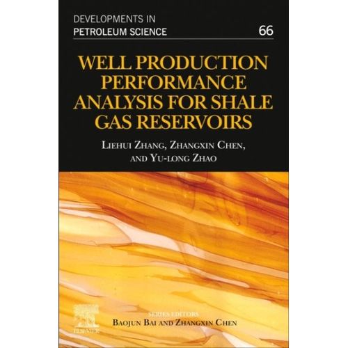Well Production Performance Analysis For Shale Gas Reservoirs
