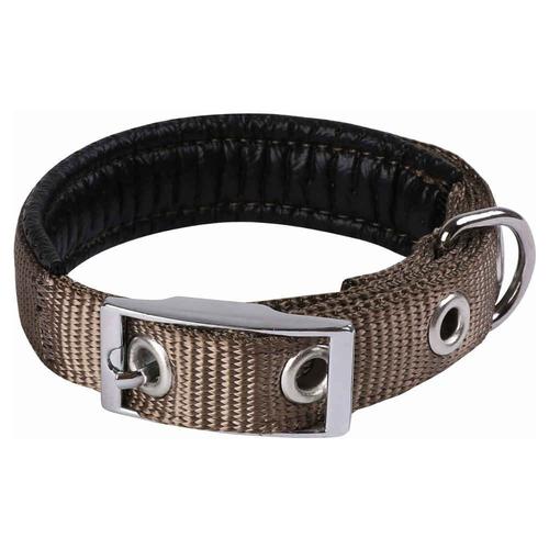 Animalis - Collier Basic Confort 25mm Et 55cm Pour Chien - Taupe