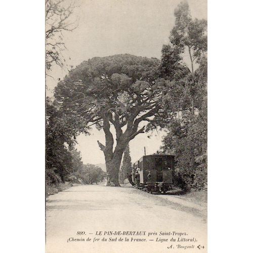 Cpa Début Xx Eme Siecle - Le Pin De Bertaux Pres Saint Tropez - 83 - Var - Chemin De Fer Du Sud De La France - Ligne Du Littoral- Edition A.Bougault - Non Ecrite
