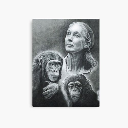 Canevas imprimer NOUS SOMMES LA FAMILLE JANE GOODALL Impression sur toile Art Décoration Murale/ 40x50cm ou 40x40cm