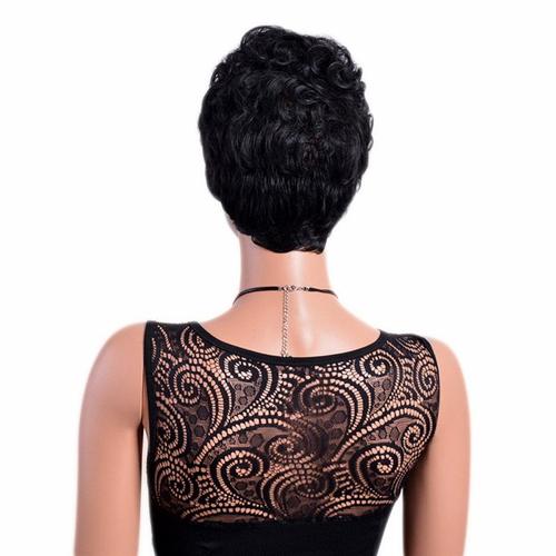Perruque Luxe Sexy Adulte Femme Cheveux Brune Wigs Déguisement Black Afro 