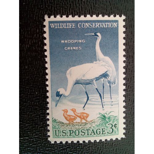 Timbre Etat-Unis Yt 612 B Grue Blanche (Grus Americana) 1957 ( 3712 )