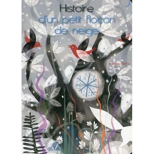 Histoire D'un Petit Flocon De Neige