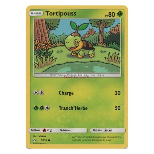 Tortipouss (Sl05-7/156)