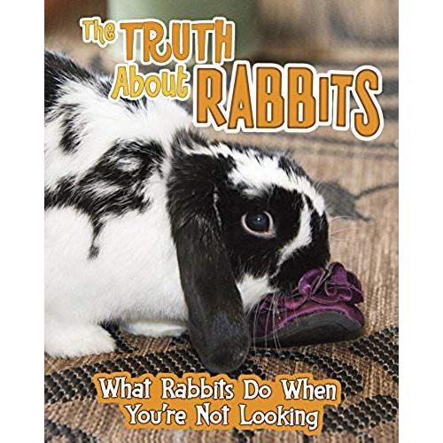 The Truth About Rabbits: What Rabbits Do When You're Not Looking (Read Me!: Pets Undercover!)