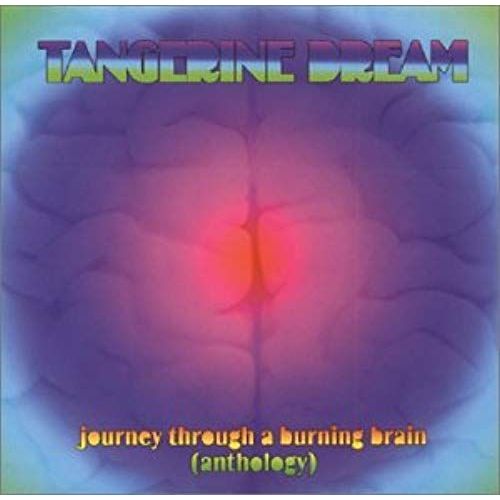Journey Through A Burning Brai