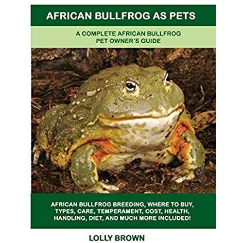 African Bullfrog As Pets