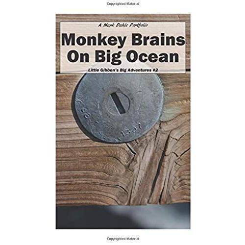 Monkey Brains On Big Ocean