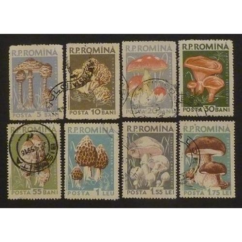 Roumanie Oblitéré Y Et T N° 1580 Et Plus Lot De 8 Timbres De 1958 Champignons
