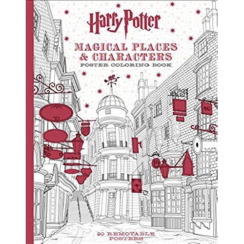 Harry Potter Magical Places & Characters Poster Coloring Book