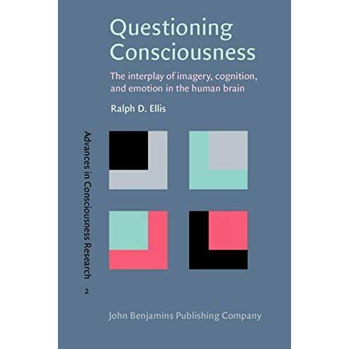 Questioning Consciousness