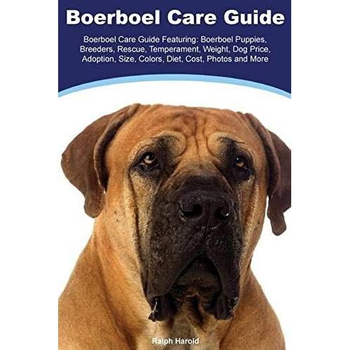 Boerboel Boerboel Care Guide Featuring: Boerboel Puppies, Breeders, Rescue, Temperament, Weight, Dog Price, Adoption, Size, Colors, Diet, Cost, Photos