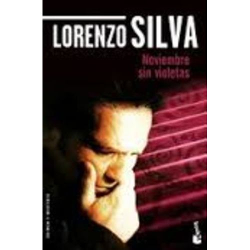 Noviembre Sin Violetas