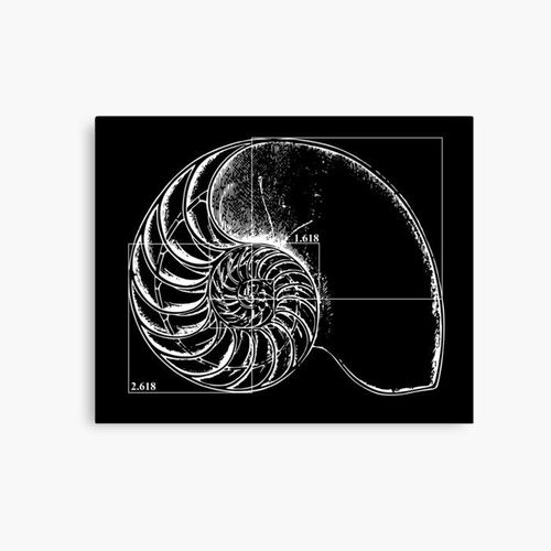 Canevas imprimer Fibonacci sur une coquille de nautile Impression sur toile Art Décoration Murale/ 40x50cm ou 40x40cm
