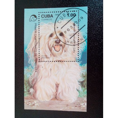 Timbre Cuba Yt Bf 129 Bichon Havanais (Canis Lupus Familiaris) 1992 ( 14812 )
