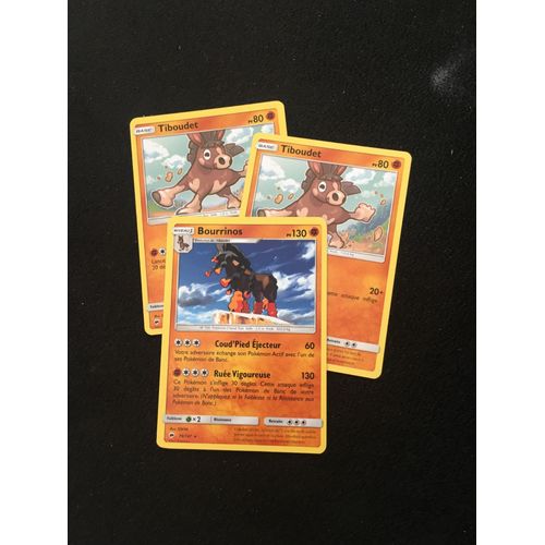 (2016) Tiboudet X2 + Bourrinos (Pokemon)