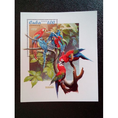 Timbre Cuba M I Bl 198 Perroquets 2005 ( 14812 )