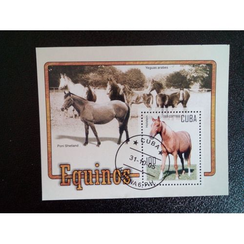 Timbre Cuba M I Bl 204 Cheval (Equus Ferus Caballus) 2005 ( 14812 )