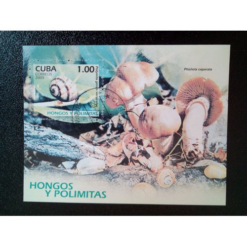 Timbre Cuba M I Bl 208 Escargot - Genre Polymita Versicolor 2005 ( 14812 )