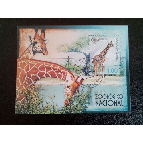Timbre Cuba M I Bl 223 Girafe (Giraffa Camelopardalis) 2007 ( 14812 )