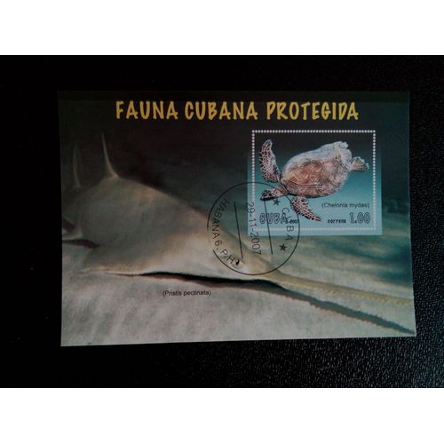 Timbre Cuba M I Bl 234 Chelonia Mydas 2007 ( 14812 )