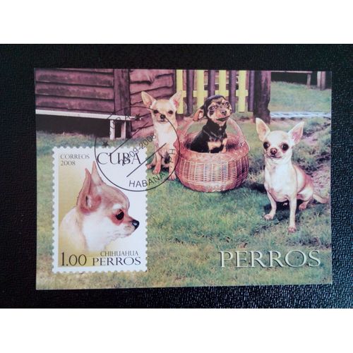 Timbre Cuba M I Bl 247 Chihuahua 2008 ( 14812 )