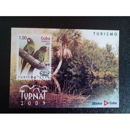 Timbre Cuba Yt Bl 258 Tourisme (Turnat) Aratinga Euops 2009 ( 14812 )