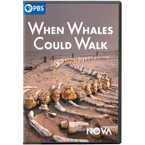 Nova: When Whales Could Walk [Digital Video Disc]