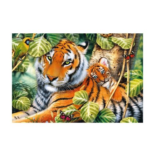 Puzzle 1500 Pièces Deux Tigres