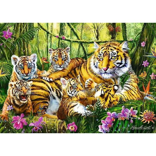 Puzzle 500 Pièces Famille De Tigres