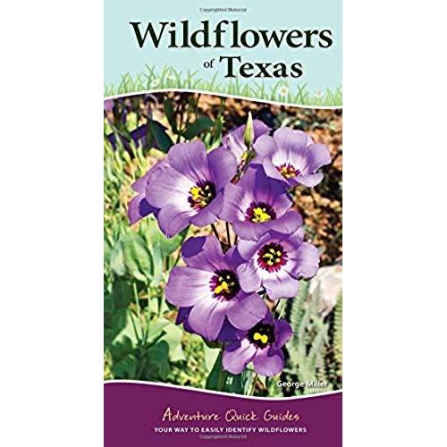 Wildflowers Of Texas: Your Way To Easily Identify Wildflowers