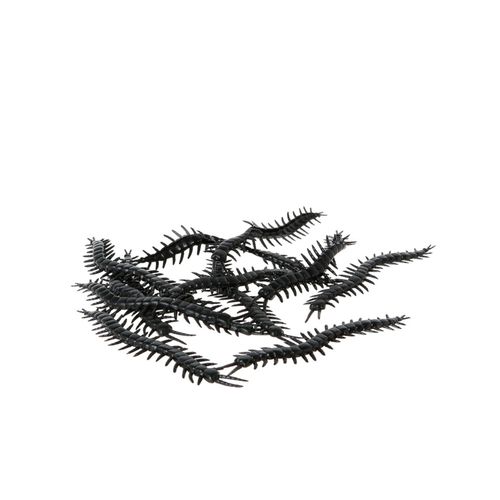 12 Mille-Pattes Noirs 13 Cm Halloween
